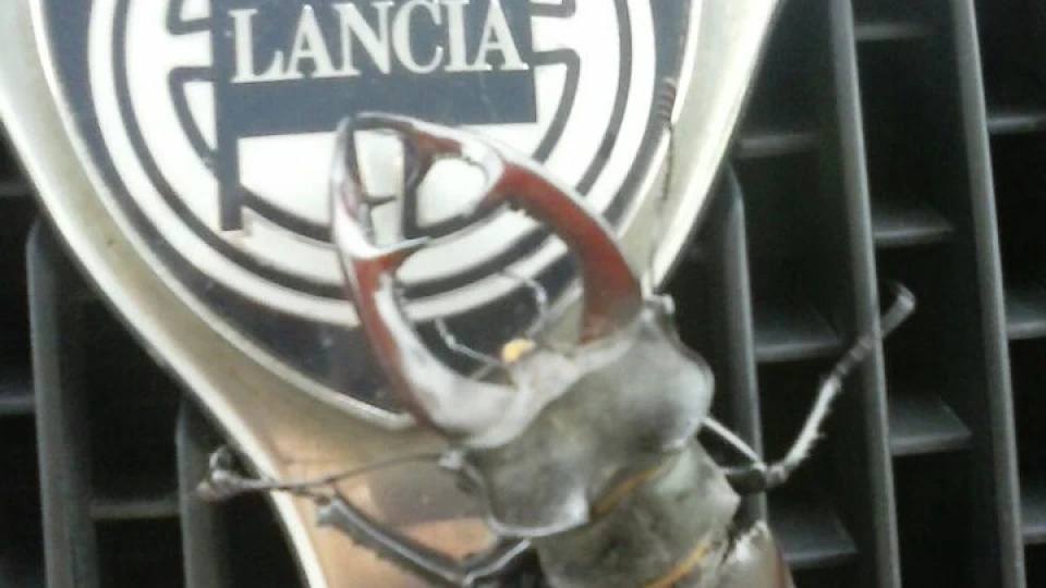Lancia Dedra 1,8 3