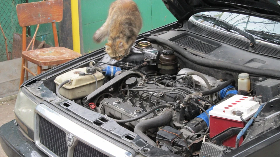 Lancia Thema Кляча 5