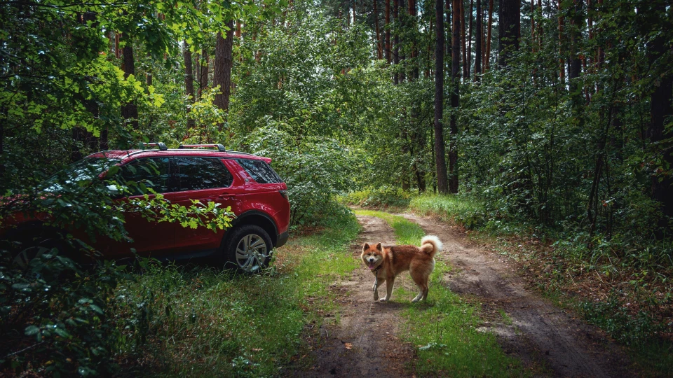 Land Rover Discovery Sport S 4