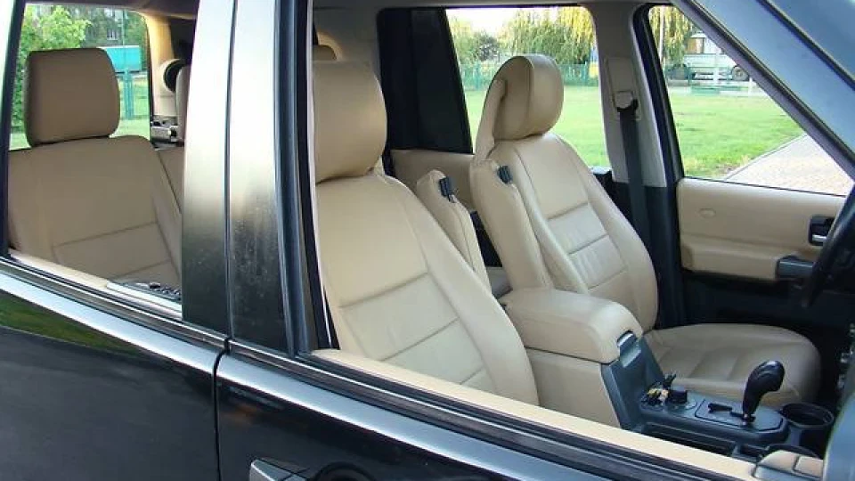 Land Rover Discovery Піжон з Білим коміром 4