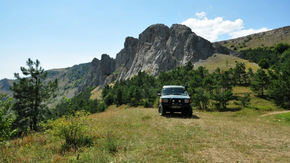 Land Rover Discovery Порося 5