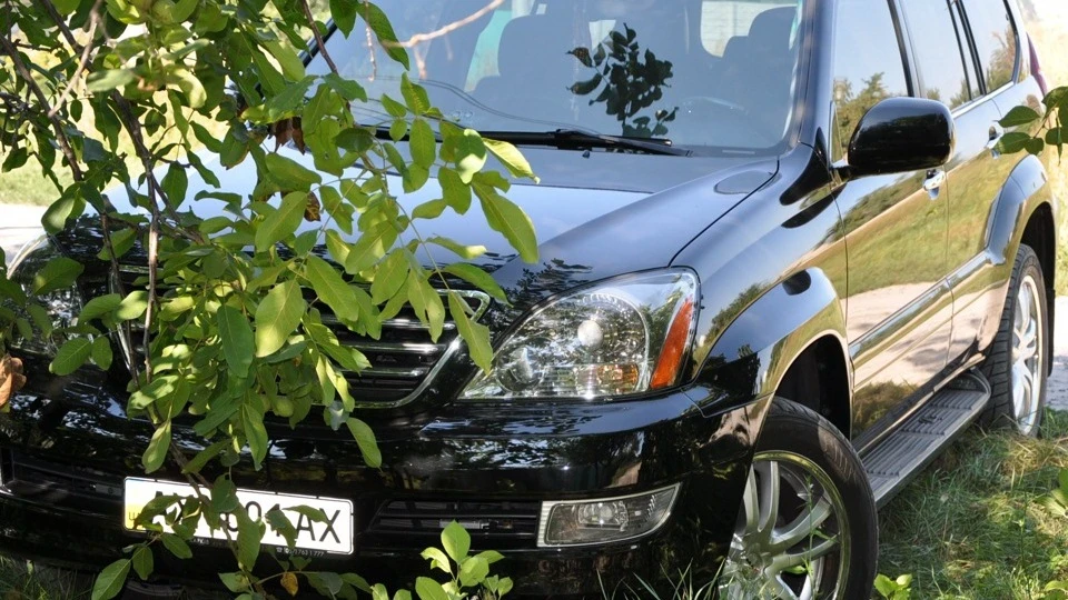 Lexus GX SPORT V8 ring (ring bar Якудза) 3