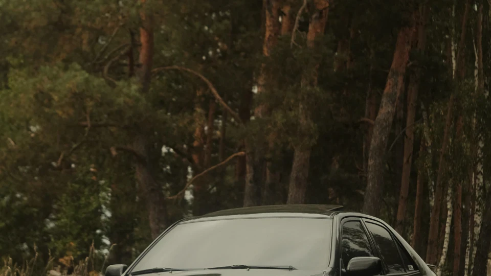 Lexus IS Беззубик 4