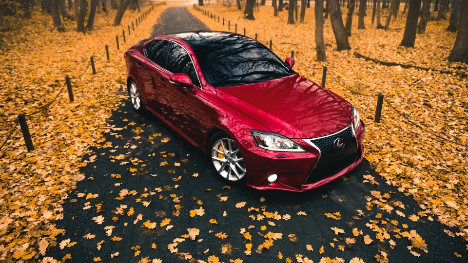 Lexus IS Bordeaux Edition F 3