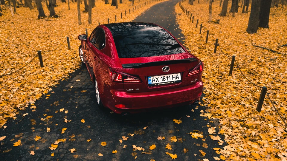 Lexus IS Bordeaux Edition F 4
