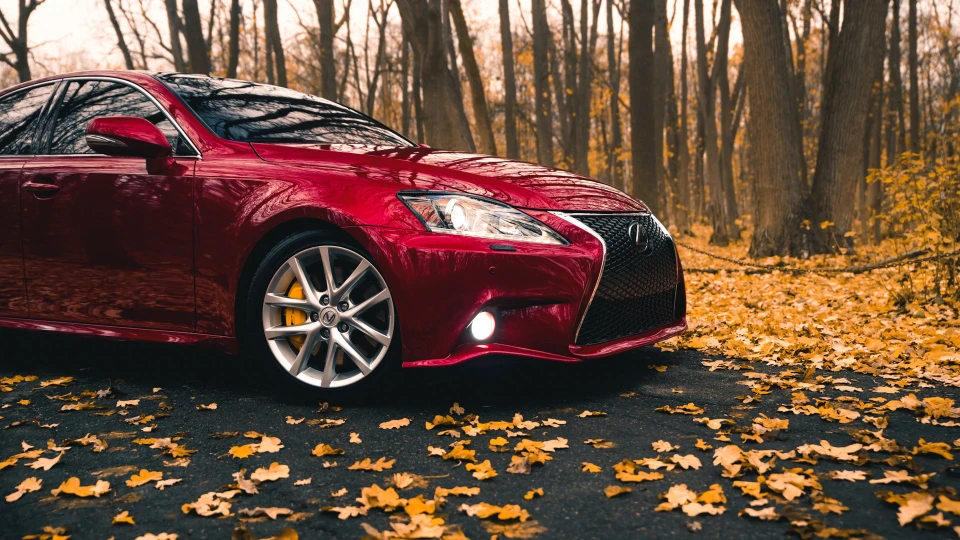 Lexus IS Bordeaux Edition F 5