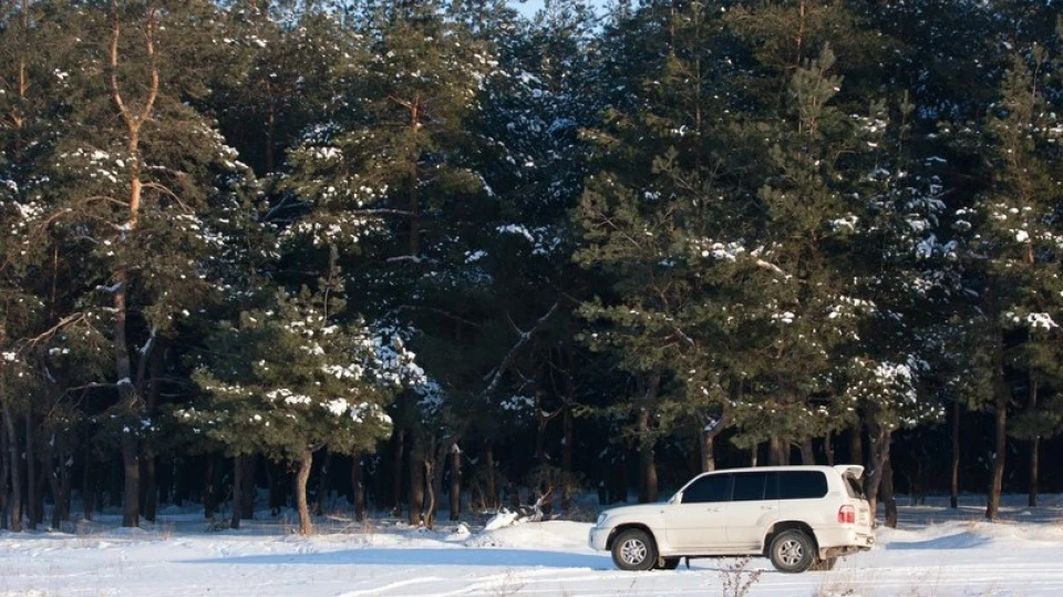 Lexus LX білий танчик