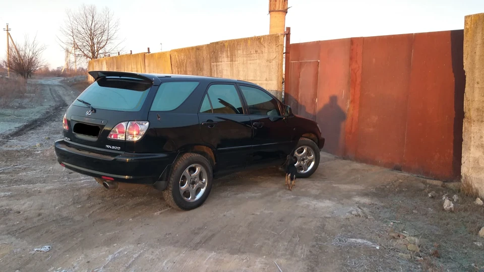 Lexus RX