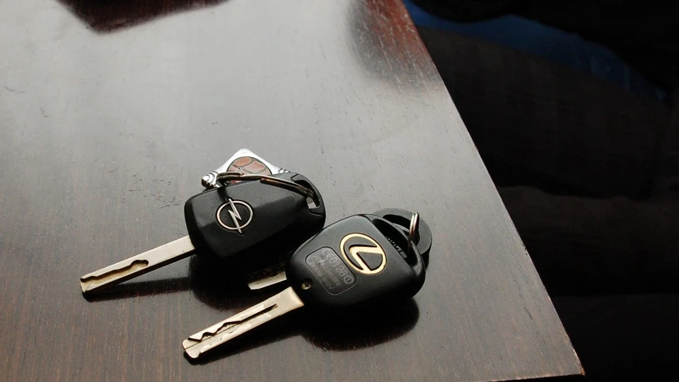 Lexus RX ДимичВООЗ 2