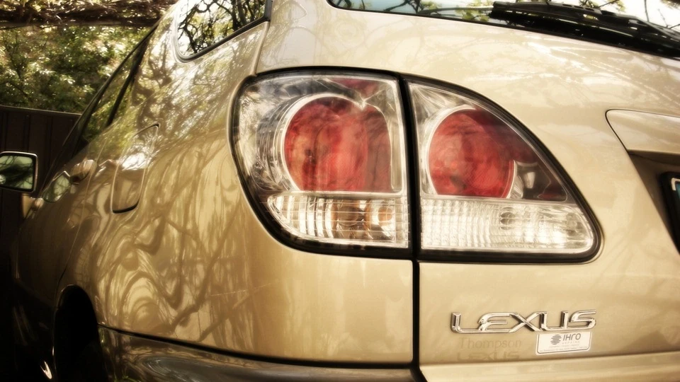 Lexus RX hound 2
