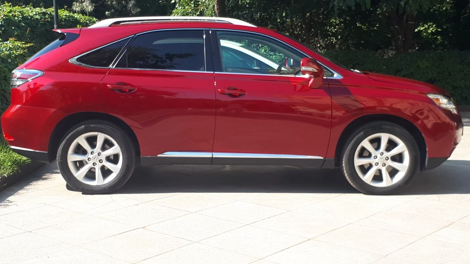Lexus RX Мурка