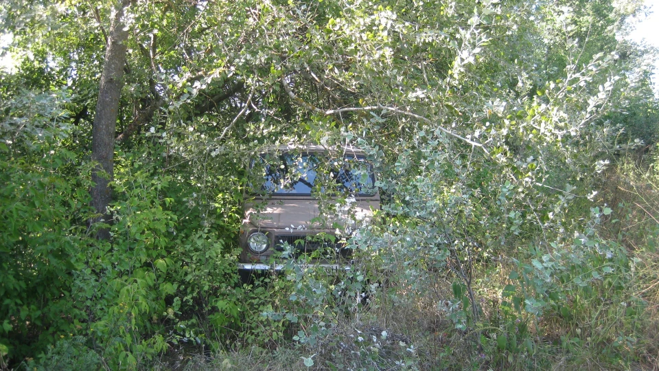 ЛуАЗ 969 '85