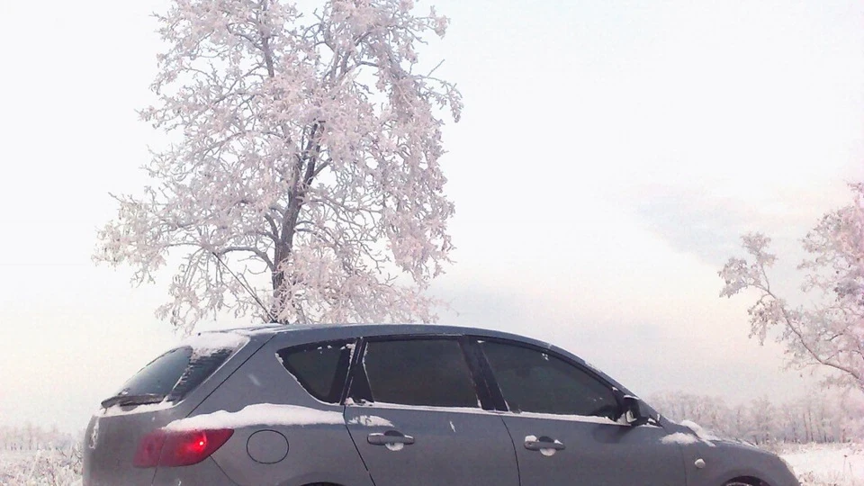 Mazda 3 日本の戦闘機 5