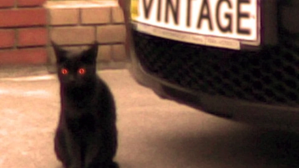 Mazda 3 night cat 2