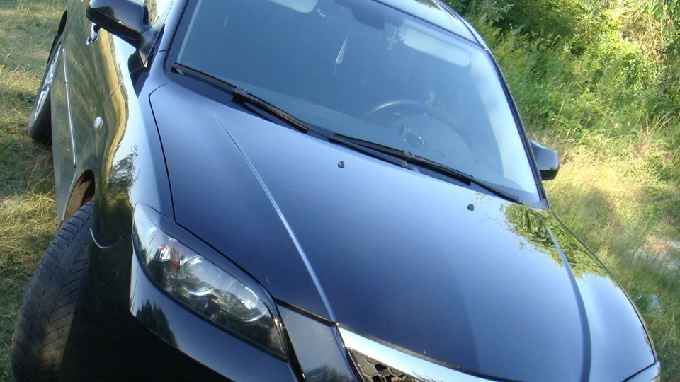 Mazda 3 бджоли 2