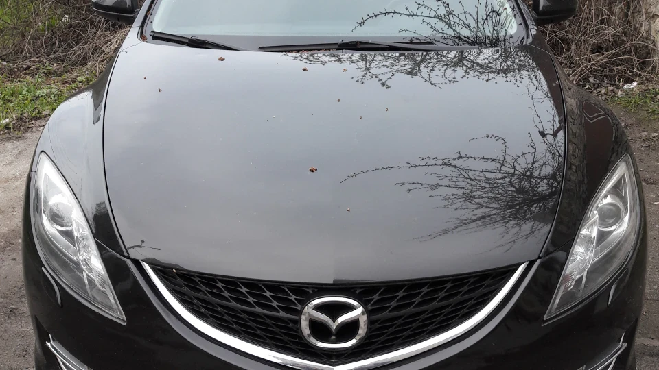 Mazda 6 Брюнетка 2