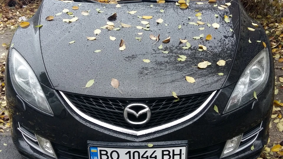 Mazda 6 Брюнетка 4