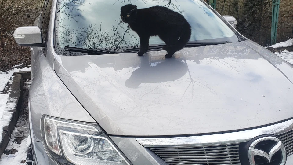 Mazda CX-9 Сіра