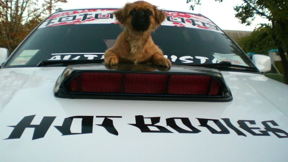 Mazda Familia 1,8 Turbo 4WD 5