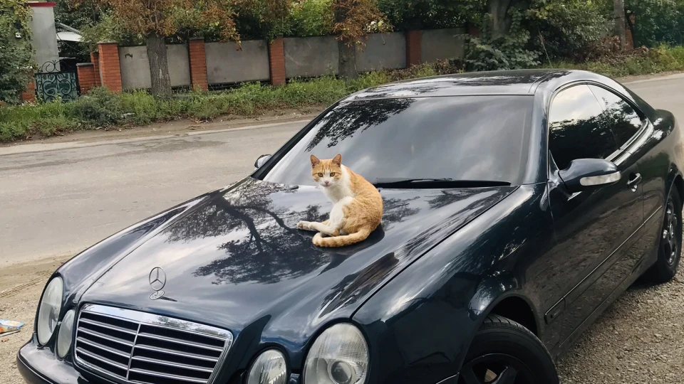 Mercedes-Benz CLK Avantgarde 3.2 AKПП