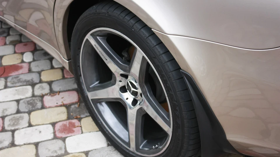Mercedes-Benz CLS Wald Black Bison 4