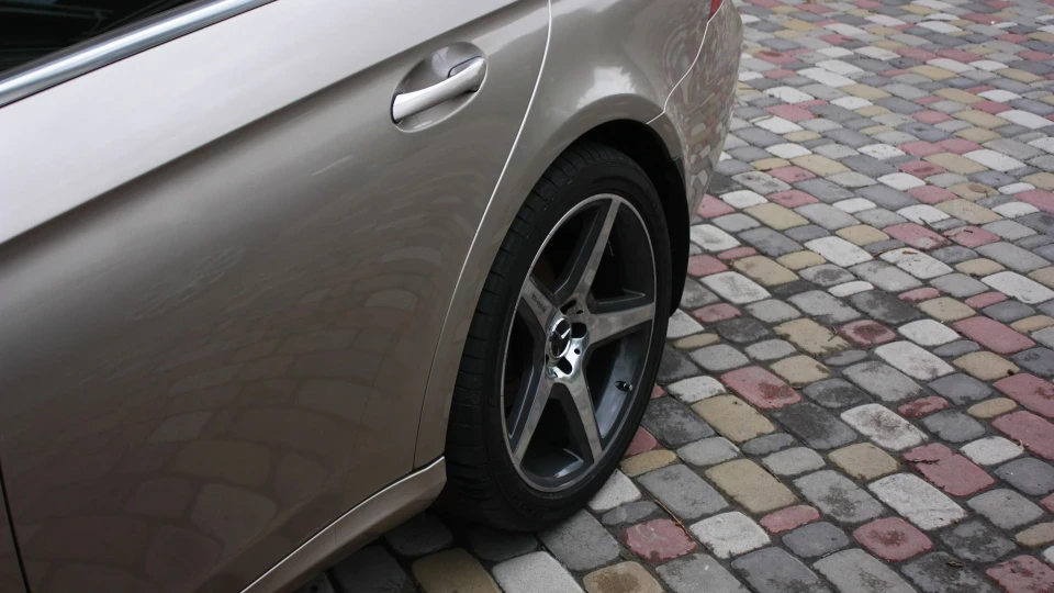 Mercedes-Benz CLS Wald Black Bison 5