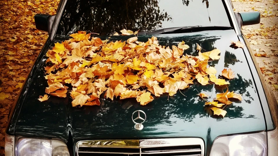 Mercedes-Benz E-Class 5