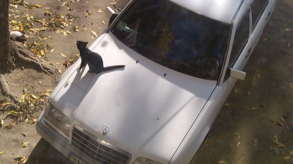 Mercedes-Benz E-Class 2