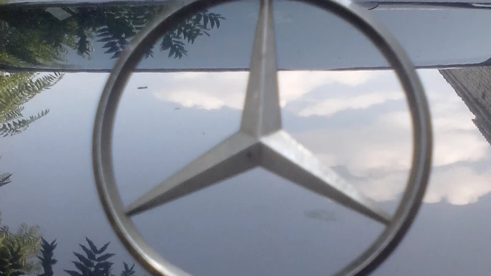 Mercedes-Benz E-Class Ferdinand 2