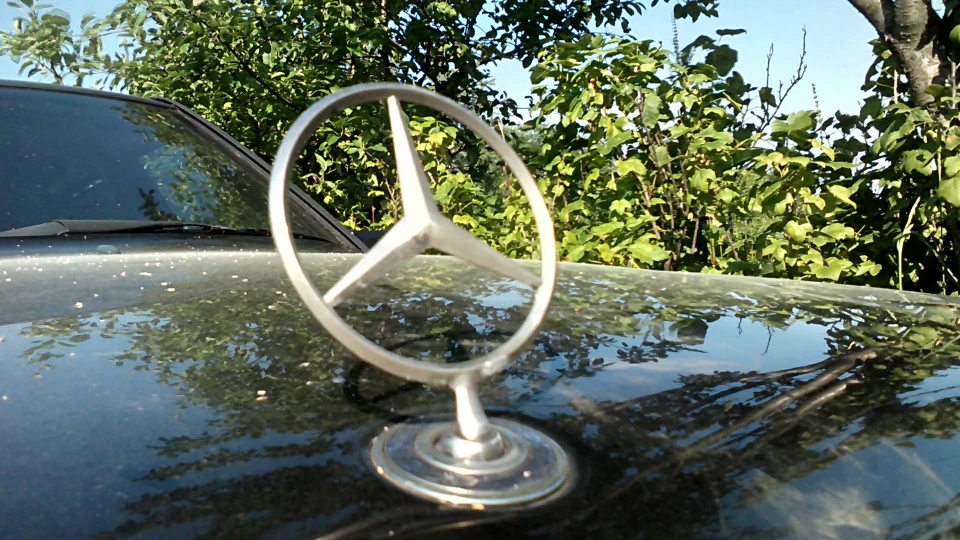 Mercedes-Benz E-Class Mary Schwarze Katze