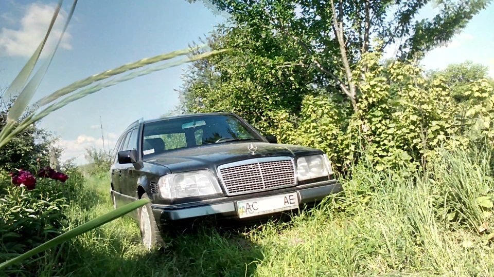 Mercedes-Benz E-Class Mary Schwarze Katze 3