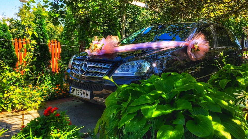 Mercedes-Benz M-class 2