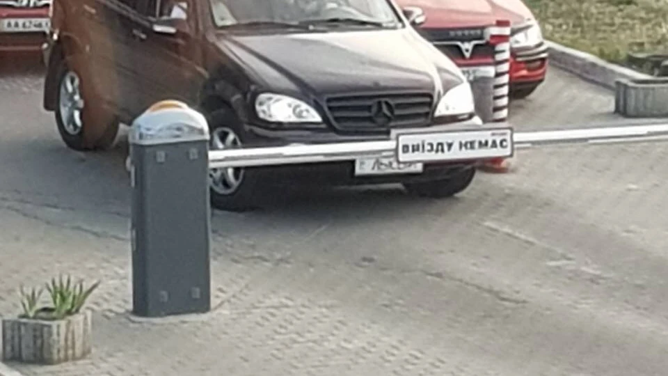 Mercedes-Benz M-class Лисий 4