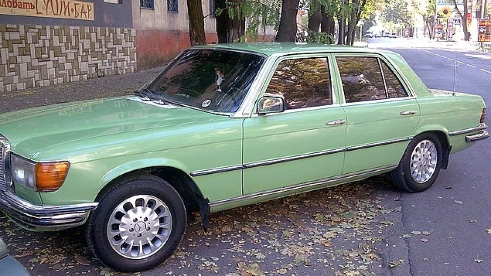 Mercedes-Benz S-Class 2.8 пажирач пального 2