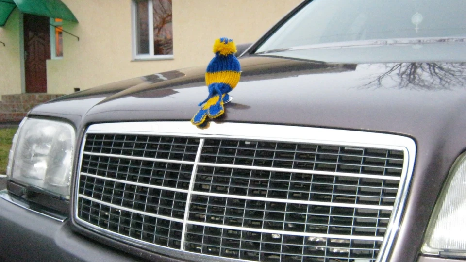 Mercedes-Benz S-Class цілий кабан 3