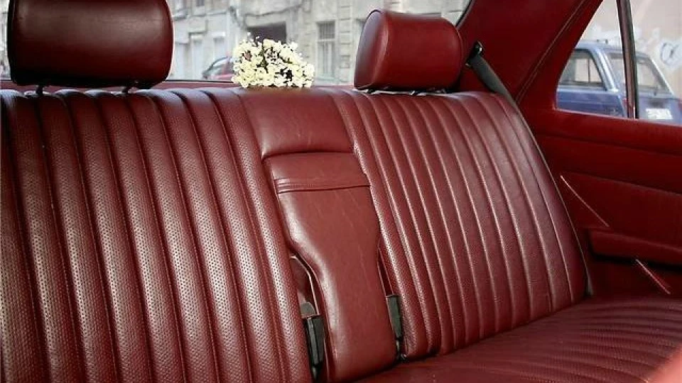 Mercedes-Benz S-Class Витончений Самець 2