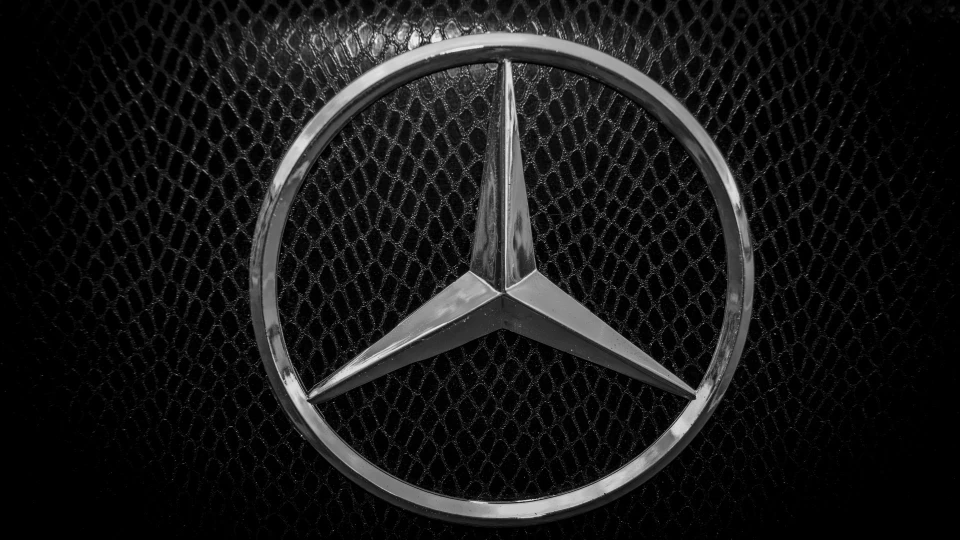 Mercedes-Benz S-Class Шкіряний Кабан 3