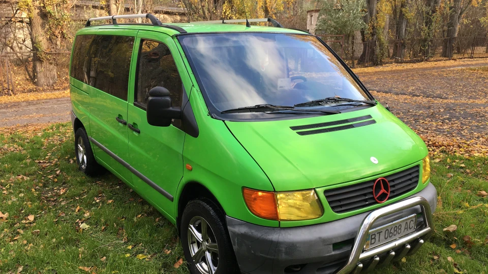 Mercedes-Benz Vito Тонований Мерін 3