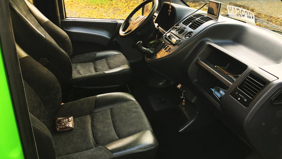 Mercedes-Benz Vito Тонований Мерін 5