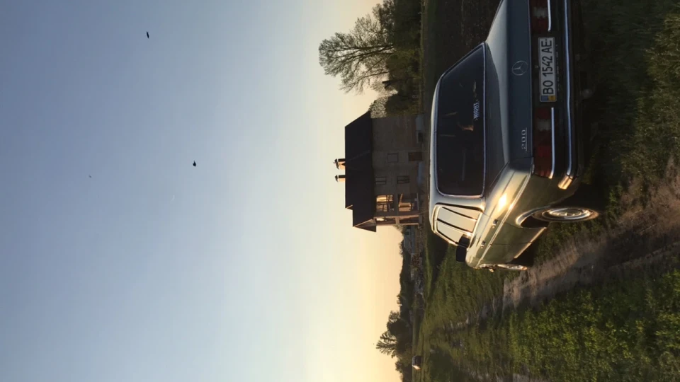 Mercedes-Benz W123 2