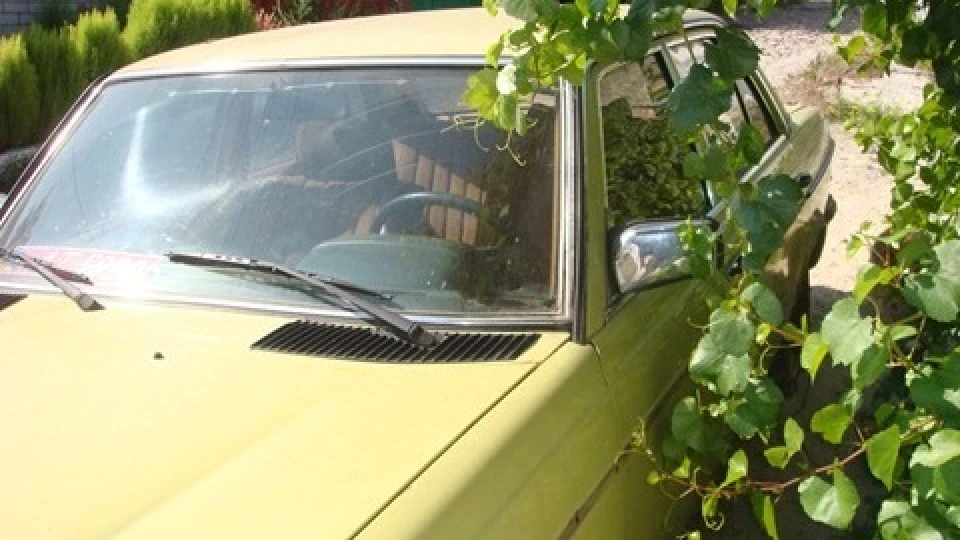 Mercedes-Benz W123