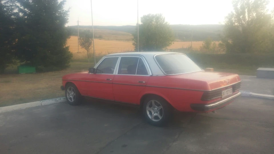 Mercedes-Benz W123 240D Daisy 3