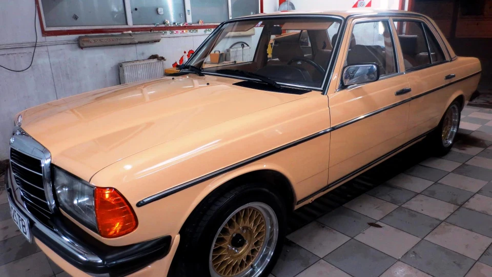 Mercedes-Benz W123 250 2
