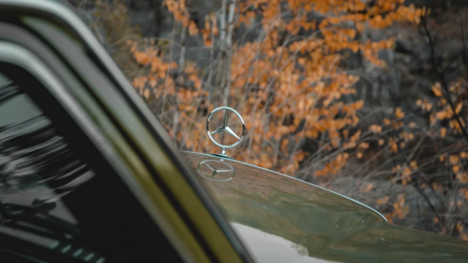 Mercedes-Benz W123 300D Turbo AgaveGreen 5