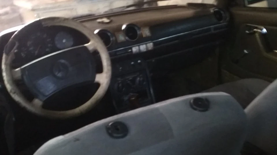 Mercedes-Benz W123 Алігатор