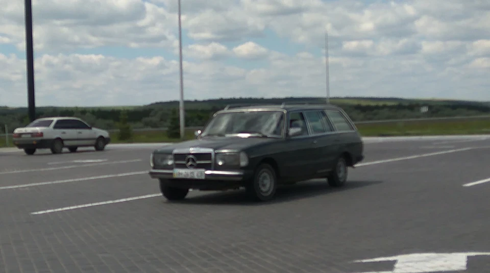 Mercedes-Benz W123 антуражний дракон 2