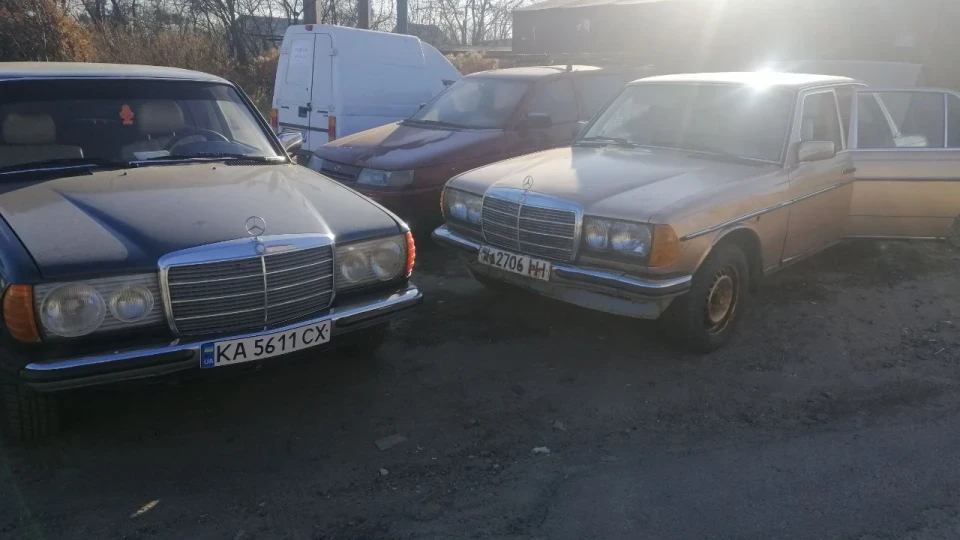 Mercedes-Benz W123 Бронзовий Ганс 2