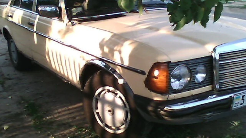 Mercedes-Benz W123 Cгнил( 2