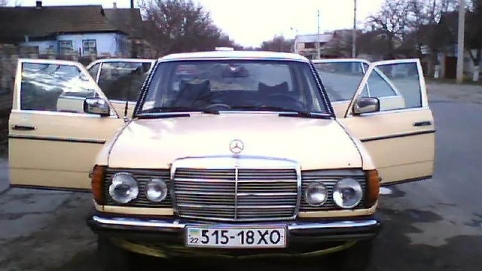 Mercedes-Benz W123 Cгнил( 4