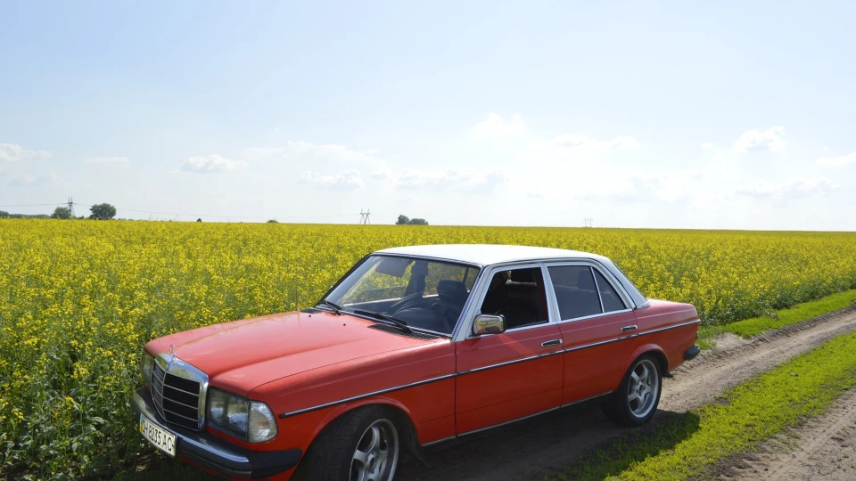 Mercedes-Benz W123 Друг 3